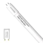 Noxion LED Buis T8 Avant (EM/Mains) Standard Output 19W 2300lm - 865 Daglicht | 150cm - Vervangt 58W