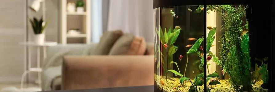 Aquarium
